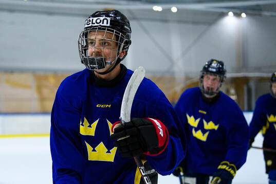 Philip Larsson of Sweden celebrates a goal