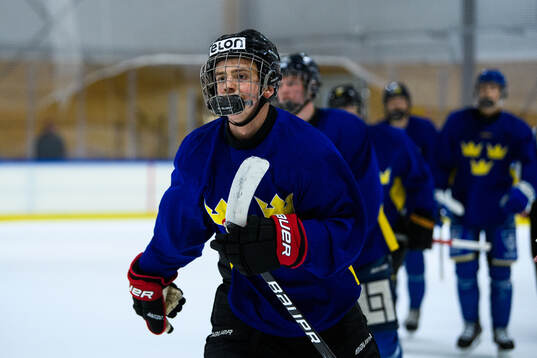Philip Larsson of Sweden celebrates a goal
