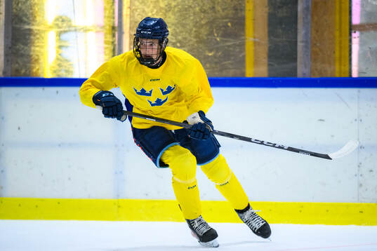 Viktor Klingsell of Sweden