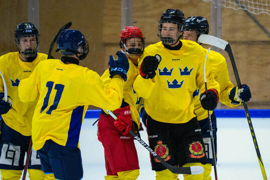 Jakob Ihs Wozniak of Sweden celebrates with teammates