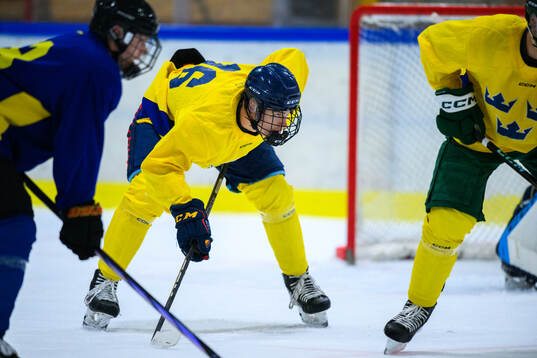 Arvid Drott of Sweden