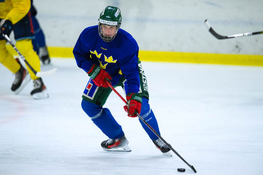 Vilmer Hagelin of Sweden