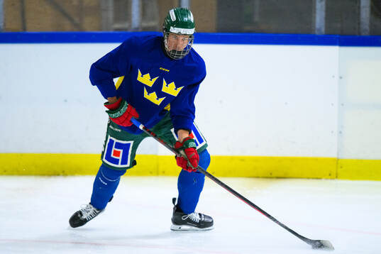 Vilmer Hagelin of Sweden