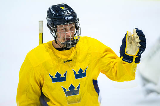 Noel Skarby of Sweden celebrates a goal