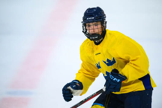 Viggo Björck of Sweden