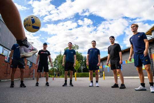 Players of Sweden