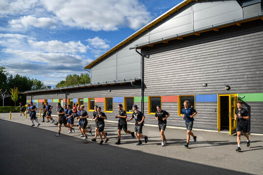 Players of Sweden