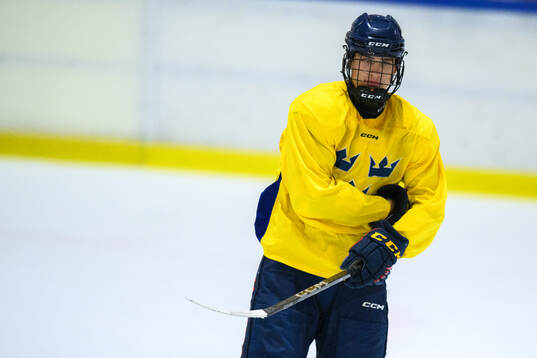 Arvid Drott of Sweden