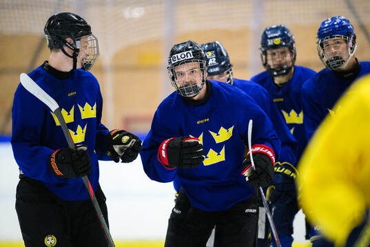 Philip Larsson celebrates