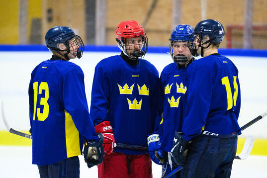 Players of Sweden