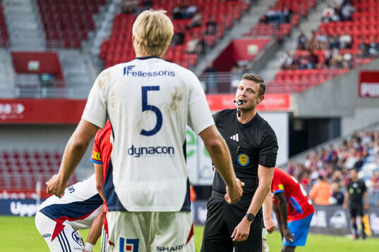 Domare Erik Mattsson