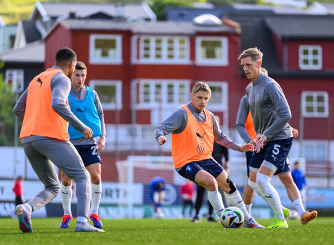 Jens Stryger Larsen and Søren Rieks of Malmö FF