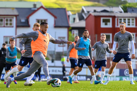 Martin Olsson of Malmö FF
