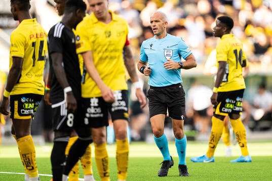 Referee Luis Godinho