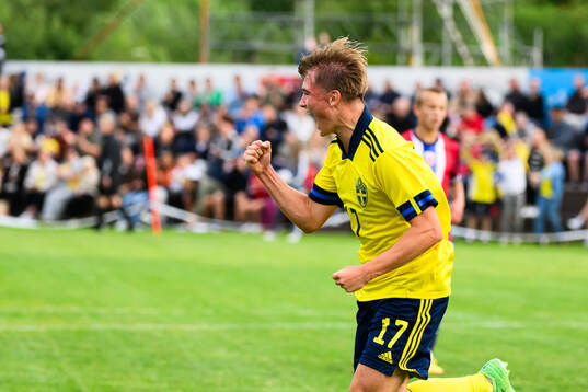 Sveriges Ludvig Arvidsson jublar