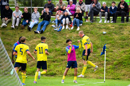 Sveriges Benjamin Brantlindjublar