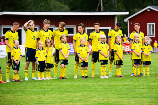 Sveriges spelare