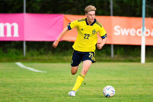 Sveriges Rasmus Bergwall