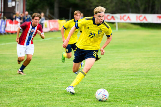 Sveriges Rasmus Bergwall