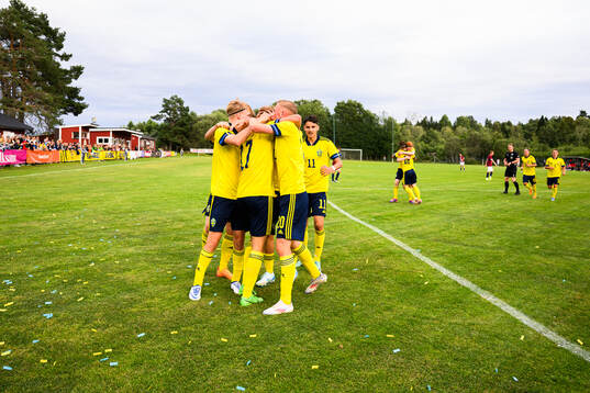 Sverige jublar
