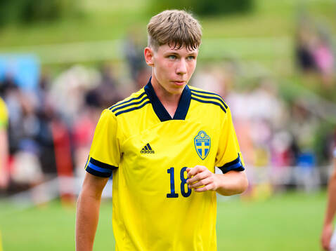Sveriges Björn Hedlöf
