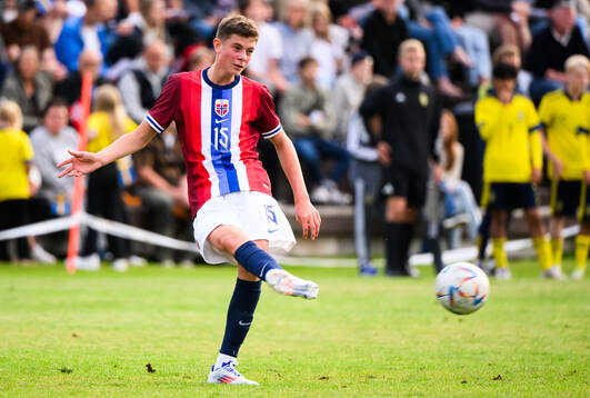 Norges Henrik Haraldsen