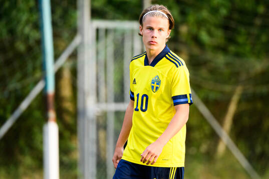 Sveriges Love Arrhov