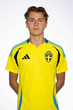 Alexander Johansson