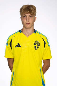 Hannes Burlion