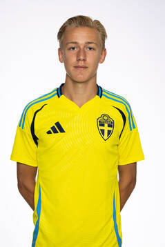 Viggo Bengtsson