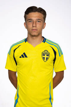 Alexander Odefalk