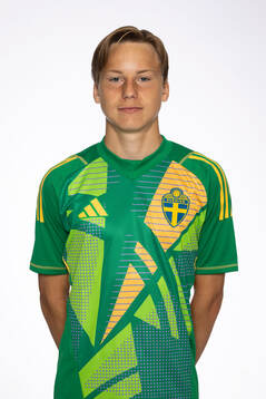 Vincent Arnström