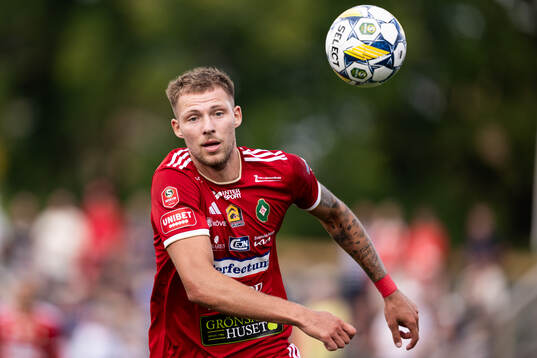Skövde AIKs Stefan Ljubicic