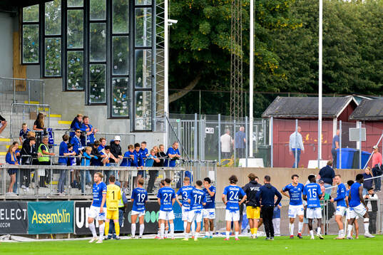 Trelleborgs spelare deppar