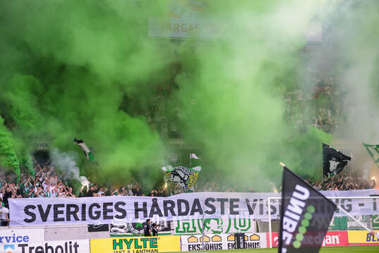 Hammarby supportrar