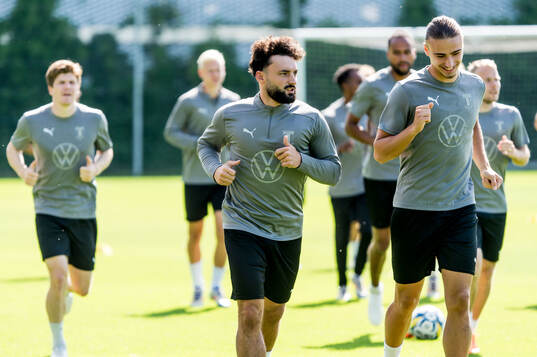 Sead Haksabanovic of Malmö FF