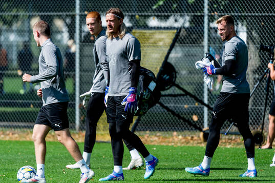 Goalkeeper Johan Dahlin and Goalkeeper Ricardo Friedrich of