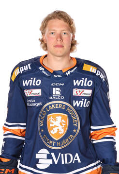 Växjös Karl Henriksson