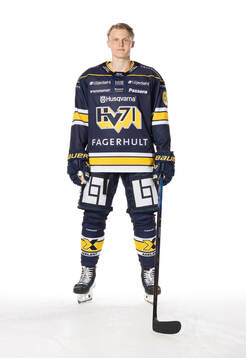 s Hugo Pettersson