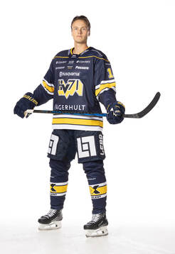 s Henrik Borgström