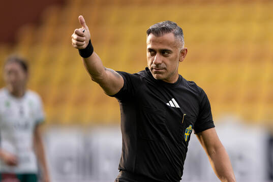 Domare Farzad Golkar-Fard