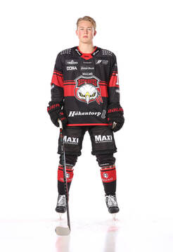 Malmö Redhawks Petter Vesterheim