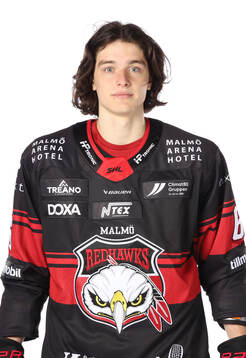 Malmö Redhawks Dominik Badinka
