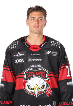 Malmö Redhawks Nikola Pasic