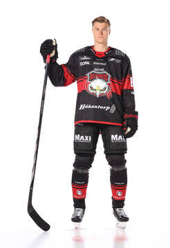 Malmö Redhawks Fredrik Händemark