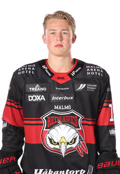 Malmö Redhawks Petter Vesterheim