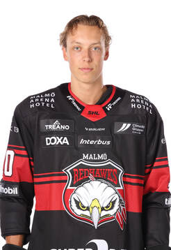Malmö Redhawks William von Barnekow