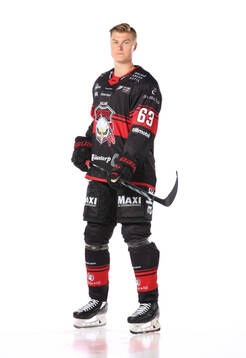 Malmö Redhawks Fredrik Händemark