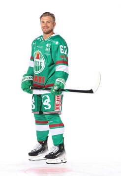 Rögles Leon Bristedt