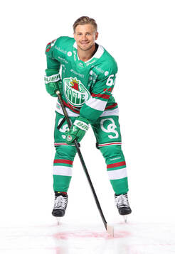 Rögles Leon Bristedt